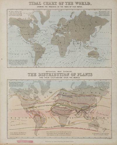潮見表と世界の植物の分布図（1850年頃 作： John Pardon