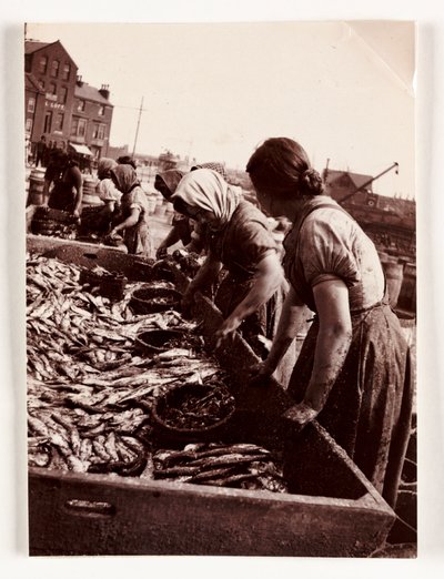 釣り、漁師たち 魚を捌く女性たち、ウィットビー港、ノースヨークシャー、1905年頃 作： John Pardon
