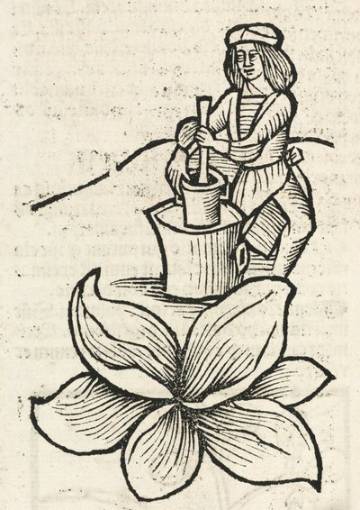 乳棒と乳鉢を使って植物を粉砕する中世人 作： John Pardon
