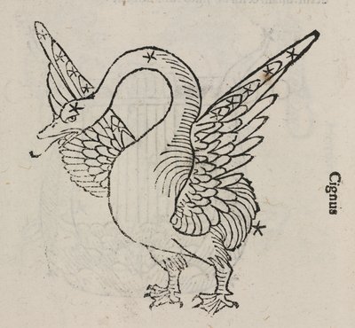 はくちょう座（白鳥座）について 作： John Pardon