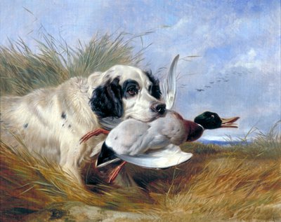 「鴨を連れた犬」、19 世紀 作： Richard Ansdell