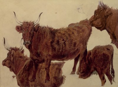 ハイランド牛の研究（紙に油彩） 作： Richard Ansdell
