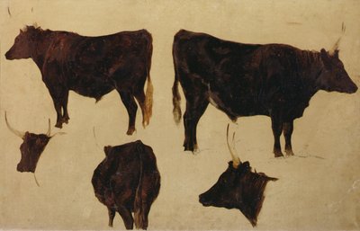 長い角を持つ牛の研究（油彩・ボード） 作： Richard Ansdell