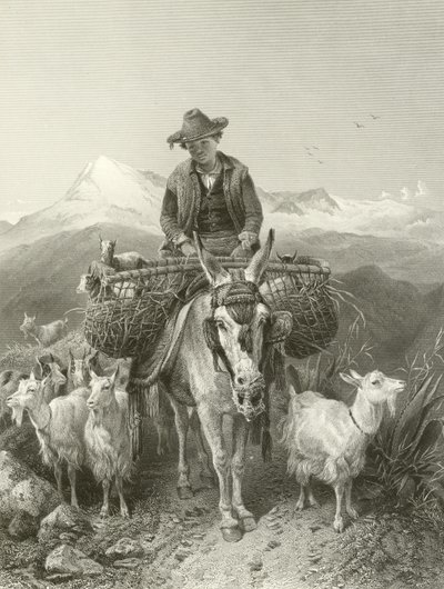 グラナダのGoatherd 作： Richard Ansdell