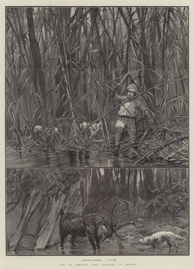 セイロンでのエルクまたはサンブル鹿狩り 作： Richard Caton Woodville junior