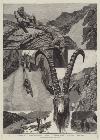 ヒマラヤの彫刻でアイベックス撮影 作： Richard Caton Woodville junior