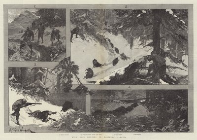 北アルバニアのイノシシ狩り 作： Richard Caton Woodville junior