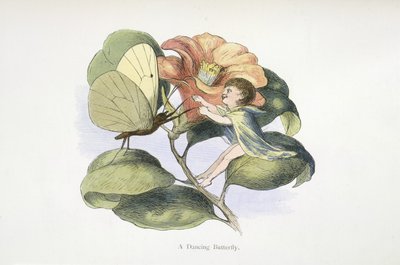 踊る蝶 作： Richard Doyle