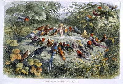 エルフと鳥 作： Richard Doyle