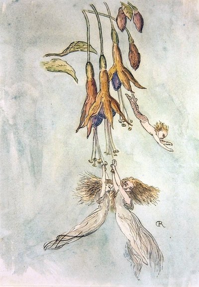 フシギダネのごちそう」（水彩・紙） 作： Richard Doyle