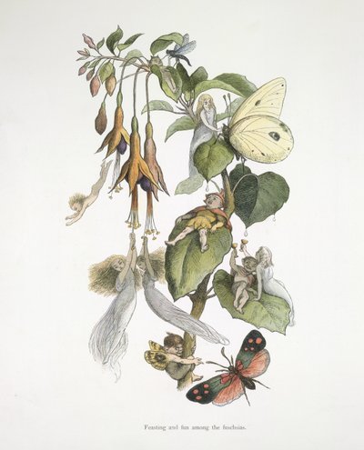 フクシアの間でごちそうと楽しみ 作： Richard Doyle