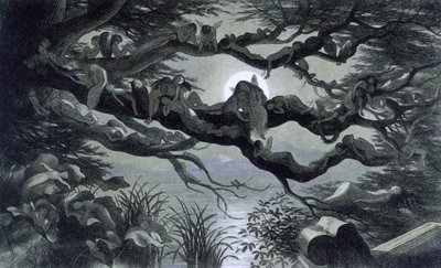枝の上で月明かりの下で休んでいる妖精、ニンフ、エルフ？ 「おとぎの国」のイラストです。 A series of pictures from the elf - world"" by Richard Doyle 1869-1870 The British Library Institution Reference: Shelfmark ID: 1876 e18 
