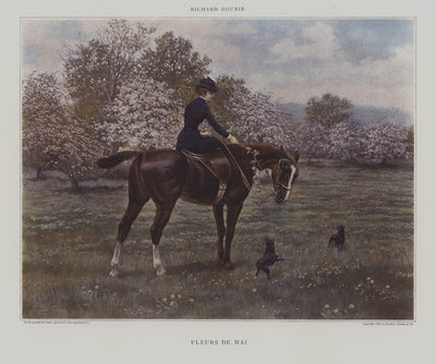 メイフラワーズ 作： Richard Doyle