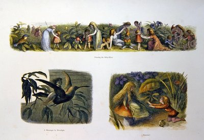 妖精の国で 作： Richard Doyle