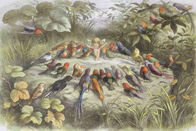 妖精の国の音楽リハーサル（挿絵：ウィリアム・アリンガムとアンドリュー・ラング著『妖精の国の絵』より。妖精の世界の絵」ウィリアム・アリンガム、アンドリュー・ラング著 作： Richard Doyle