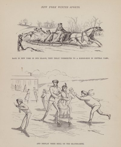 The American Tour of Messrs Brown, Jones and Robinson」のページ（彫刻）。 作： Richard Doyle
