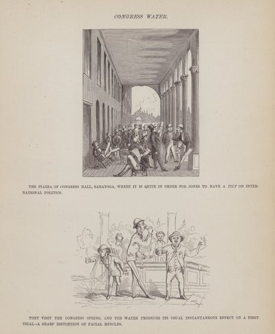 The American Tour of Messrs Brown, Jones and Robinson」のページ（彫刻）。 作： Richard Doyle