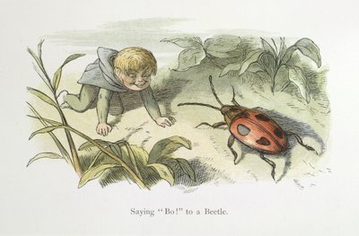 言ってボー！ カブトムシに 作： Richard Doyle