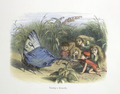 蝶をからかう 作： Richard Doyle