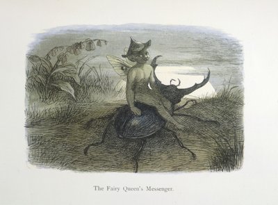 妖精女王の使者 作： Richard Doyle