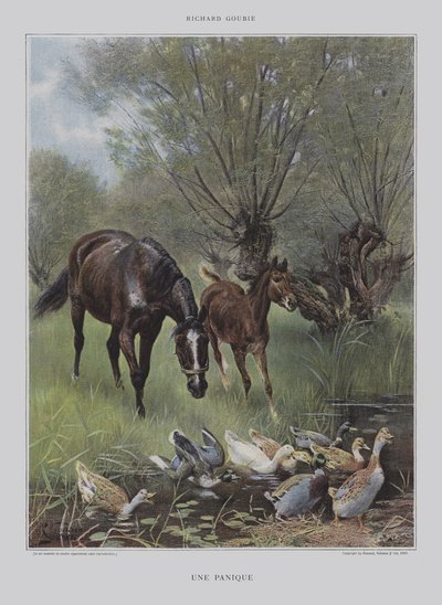 パニック 作： Richard Doyle