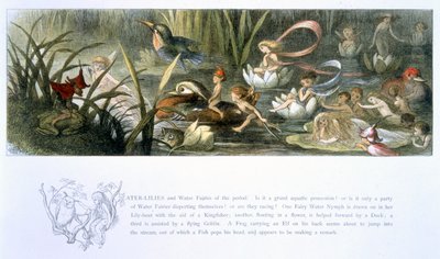 睡蓮と水の妖精、ウィリアムアリンガムとアンドリューラングによる「妖精の国：エルフの世界からの一連の写真」のイラスト 作： Richard Doyle