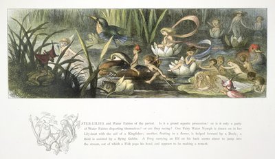 睡蓮と水の妖精 作： Richard Doyle