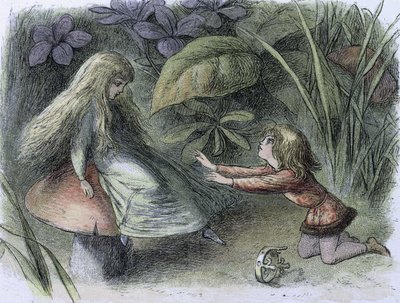この時代の睡蓮と水の妖精