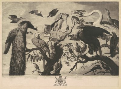 鳥のコンサート 作： Richard Earlom, after Mario Nuzzi
