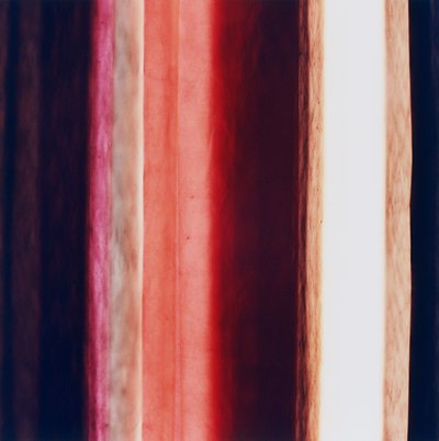 ストライプXI、2005年 作： Richard Green
