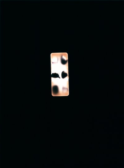 無題、2004年（ユニークなC型フォトグラム） 作： Richard Green