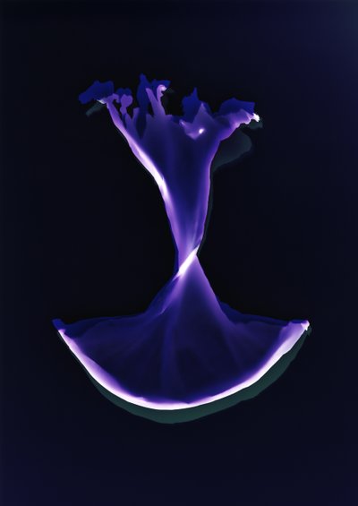 無題, 2004 作： Richard Green
