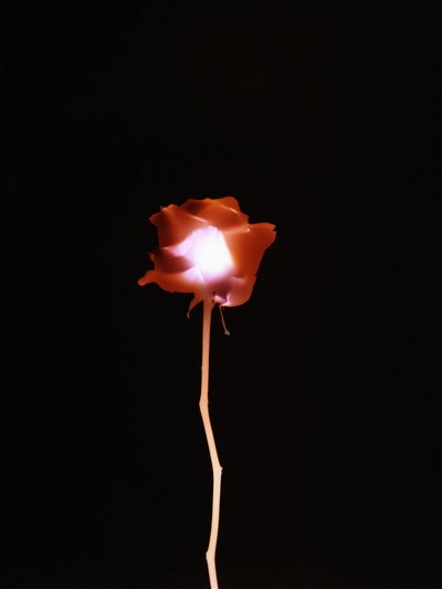無題, 2007 作： Richard Green