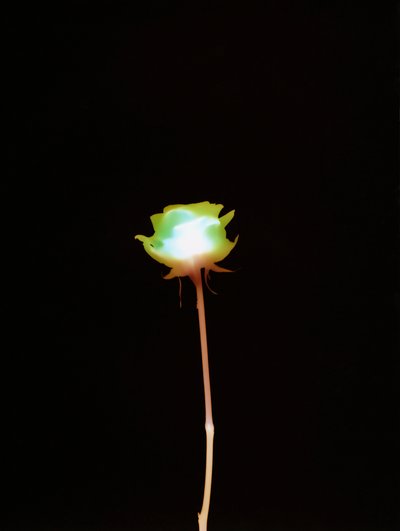 無題, 2007 作： Richard Green