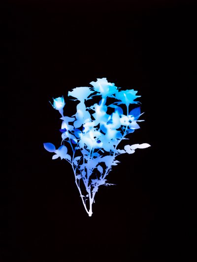 無題, 2008 作： Richard Green
