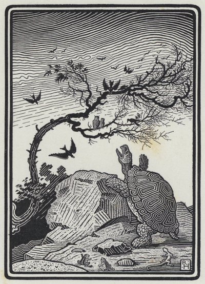 The Tortoise And The Birds (e.g. the engraving) 作： Richard Heighway