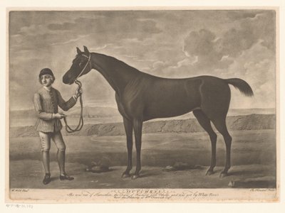 Racepaard はジョッキーに会いました ダッチェス 作： Richard Houston