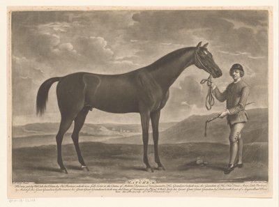 Racepaard はジョッキーに会いました Matchem (オブジェクトのタイトル) 作： Richard Houston
