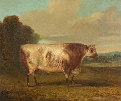 ブル、1862 作： Richard Whitford