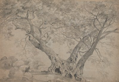 ネミ湖畔のアーブラ サクラ 作： Richard Wilson