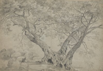ネミ湖のほとりにあるアルブラサクラ、1754〜56年頃（紙に黒と白のチョーク） 作： Richard Wilson