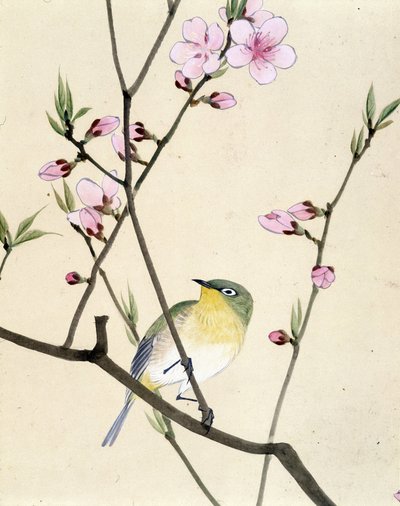 鳥 - リウ・チムによる日本画、19世紀後半 作： Riu Chim