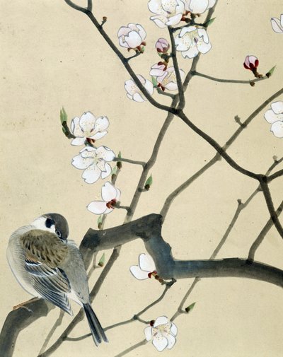 鳥 - リウ・チムによる日本画、19世紀後半 作： Riu Chim