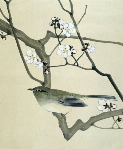 鳥 - リウ・チムによる日本画、19世紀後半 作： Riu Chim