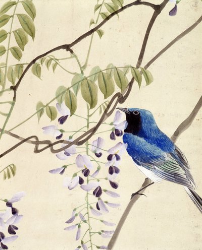 鳥 - リウ・チムによる日本画、19世紀後半 作： Riu Chim