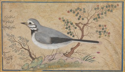 A.H. 1043A.D. の鳥の習作 1634年。 作： Riza
