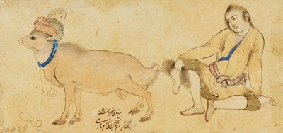 1630-31以降の若者と雄羊の研究 作： Riza i Abbasi