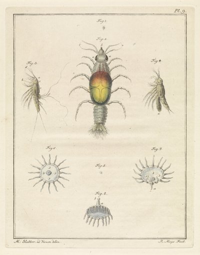 さまざまな海の生き物 作： Robbert Muys