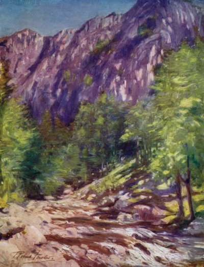 Aberglaslyn（カラーリトグラフ 作： Robert (after) Fowler