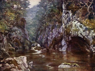Fairy Glen, Bettws-y-Coed (カラーリトグラフ) 作： Robert (after) Fowler